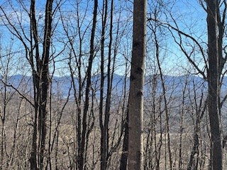 N/a N/a Turkey Ridge Morganton, GA 30560 - Photo 7 of 11 a view of a forest