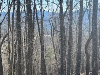 $699,900 | N/a N/a Turkey Ridge, Morganton, GA 30560