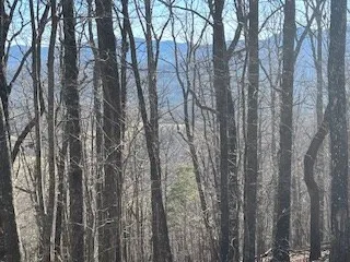 $699,900 | N/a N/a Turkey Ridge, Morganton, GA 30560