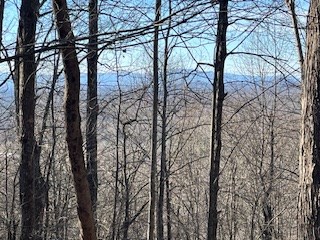 N/a N/a Turkey Ridge Morganton, GA 30560 - Photo 10 of 11 a view of trees with outdoor space