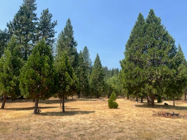 3675 Pleasant Creek Road Rogue River, OR 97537 - Photo 16 of 18 IMG_0738