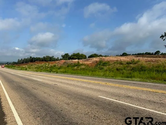 a view of a forest with trees