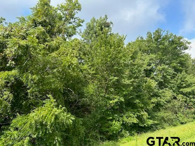 $59,650 | 175 West Jacksonville Tx 75766, Jacksonville, TX 75766