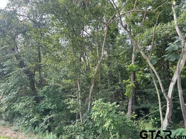 $59,650 | 175 West Jacksonville Tx 75766, Jacksonville, TX 75766