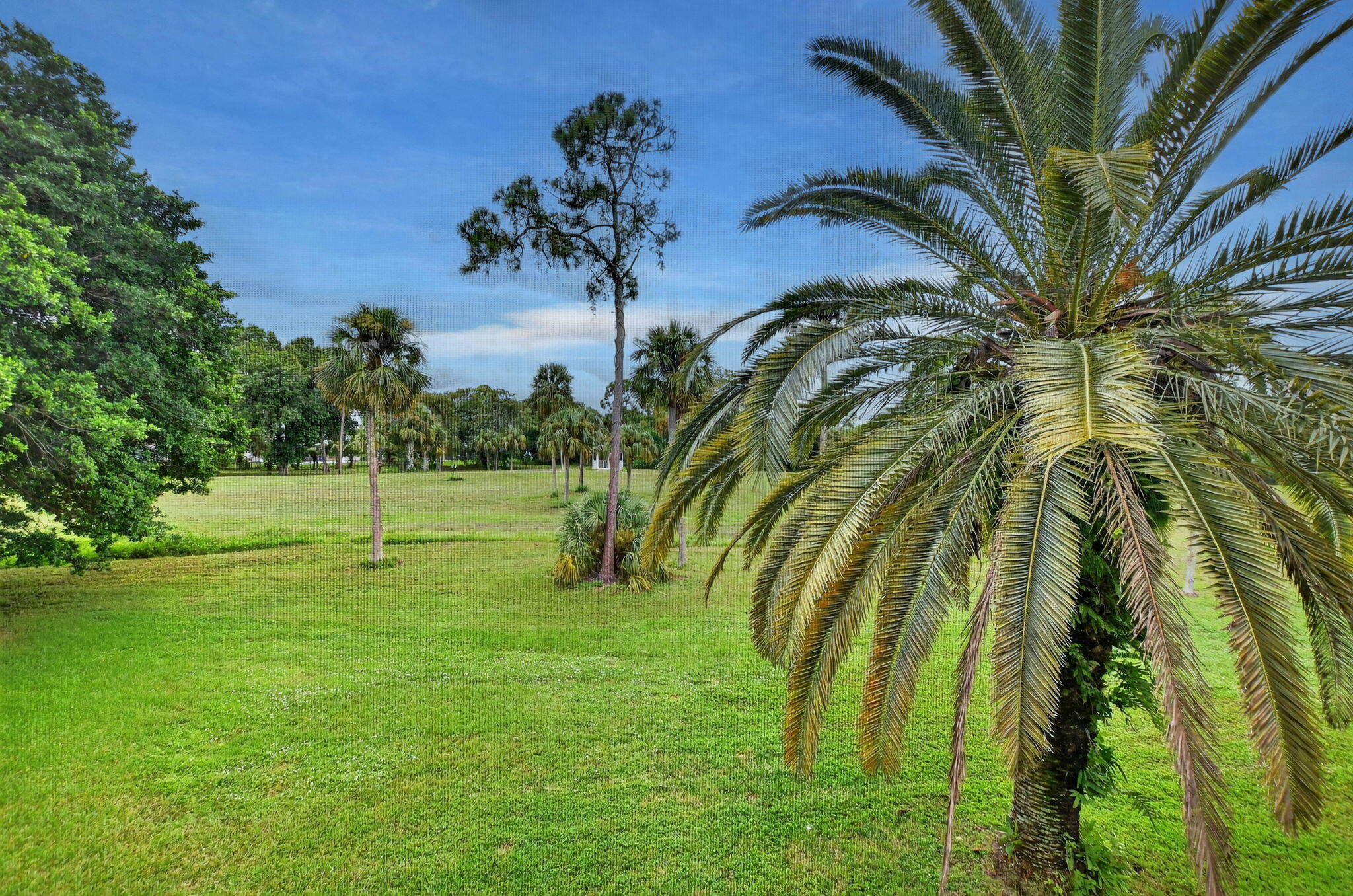 9268 Vista Del Lago, Unit 26D Boca Raton, FL 33428 - Photo 27 of 34 a view of a yard with a palm tree