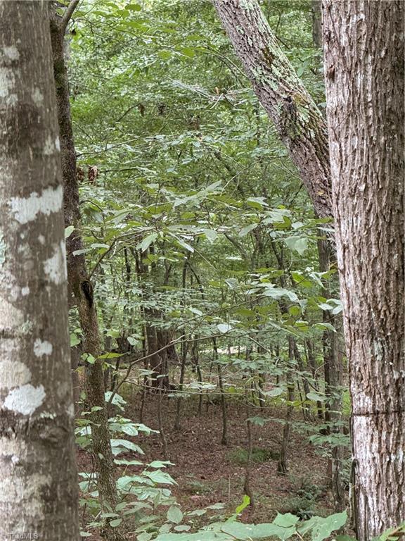 3 Zinzendorf Lane Moravian Falls, NC 28654 - Photo 11 of 17 11 Community Trail and Bridge in Background