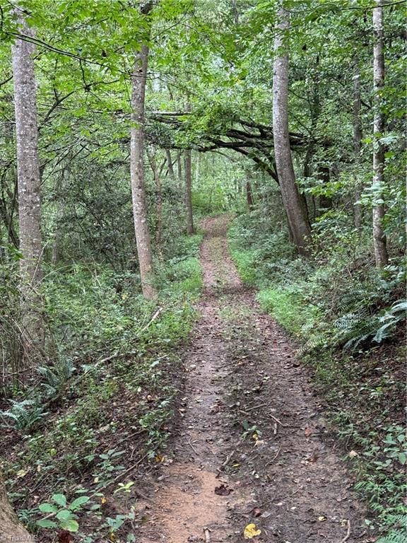 3 Zinzendorf Lane Moravian Falls, NC 28654 - Photo 12 of 17 12 Community Trail