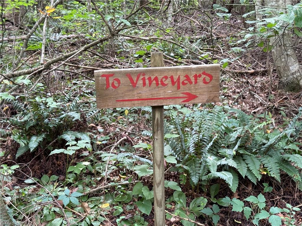 3 Zinzendorf Lane Moravian Falls, NC 28654 - Photo 13 of 17 13 Community Trail Directional Sign