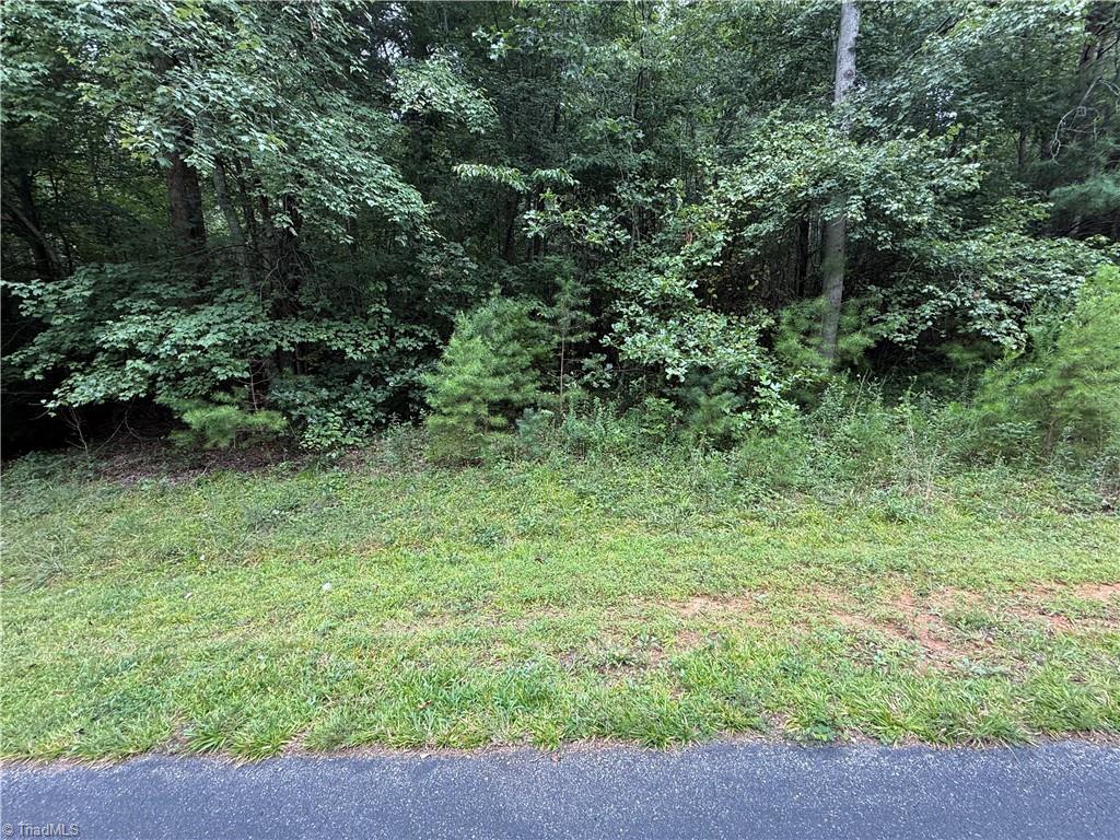 3 Zinzendorf Lane Moravian Falls, NC 28654 - Photo 15 of 17 Lot 3-1