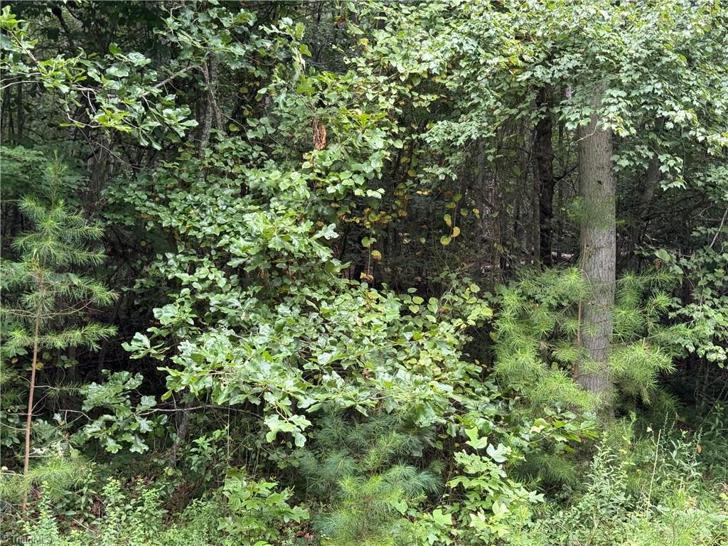 3 Zinzendorf Lane Moravian Falls, NC 28654 - Photo 16 of 17 Lot 3-2