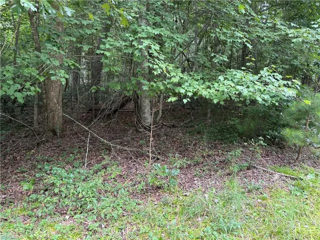 $39,000 | 3 Zinzendorf Lane, Moravian Falls, NC 28654