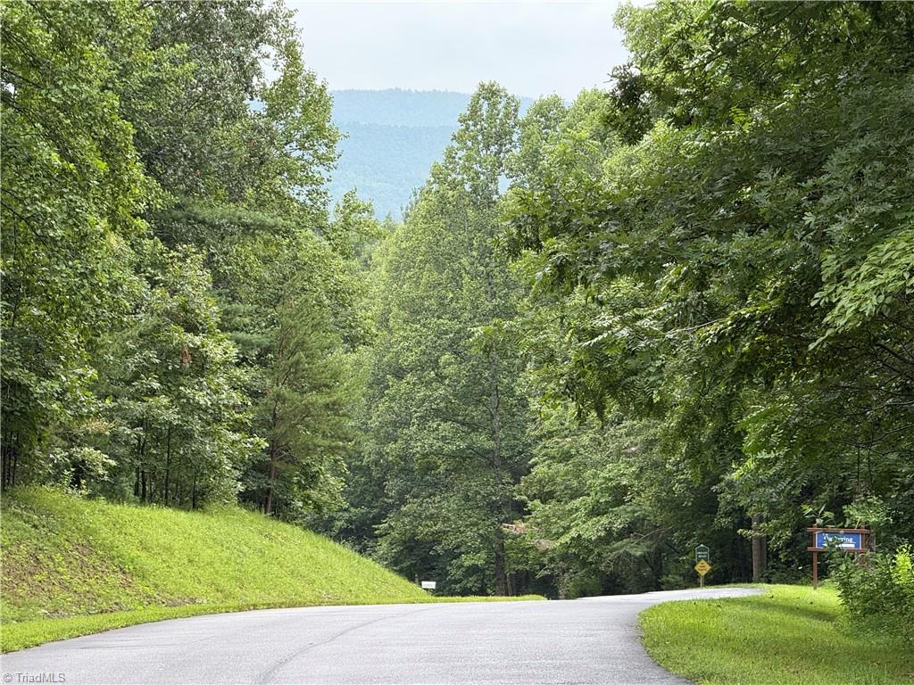 3 Zinzendorf Lane Moravian Falls, NC 28654 - Photo 2 of 17 2 Entry road with mountains behind