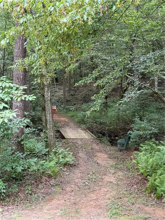 3 Zinzendorf Lane Moravian Falls, NC 28654 - Photo 10 of 17 10 Community Trail, Bridge over Creek and Bench