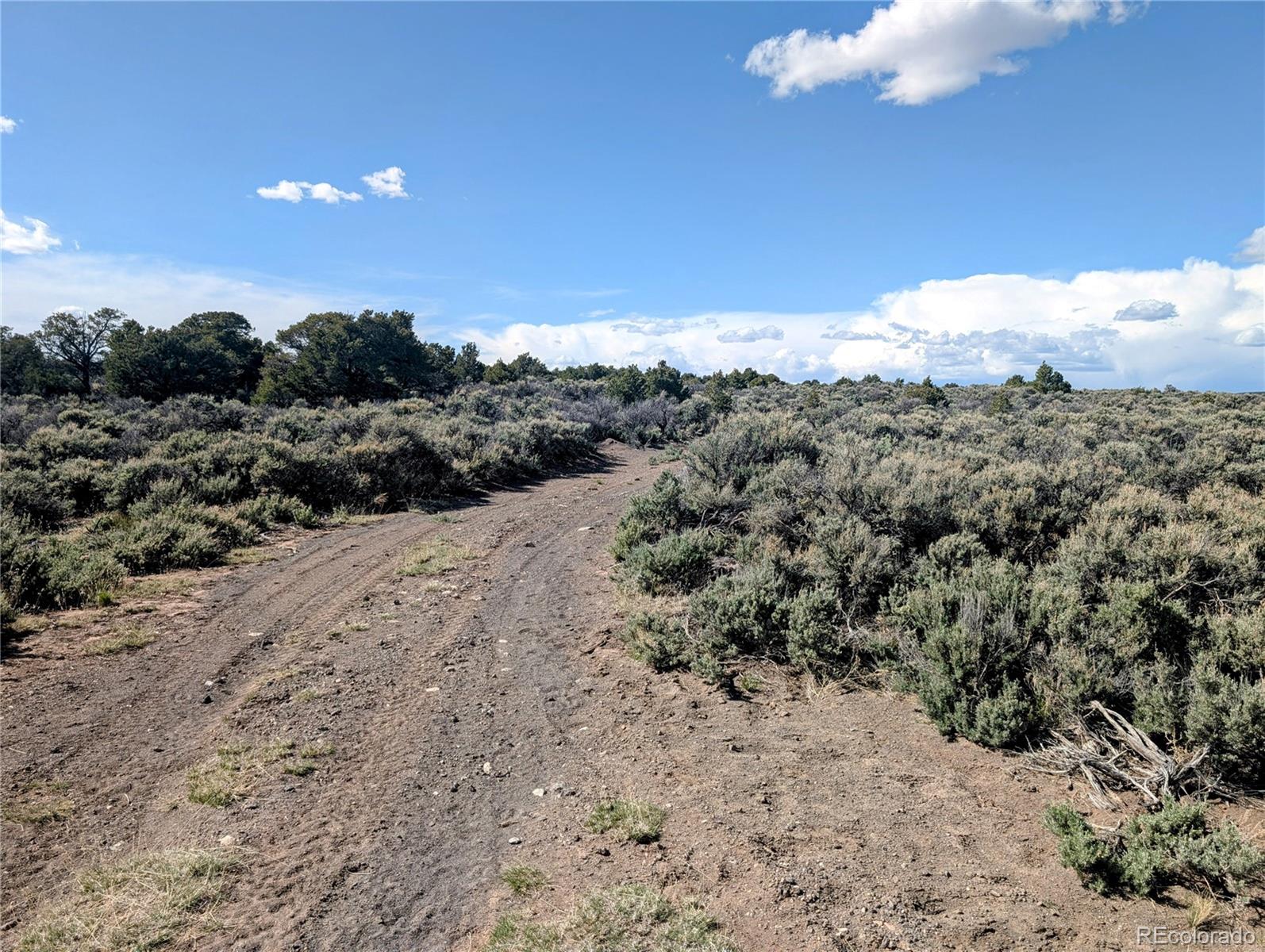 35-acres Elk Park Road San Luis, CO 81152 - Photo 13 of 34 a view of a mountain range with trees in the background