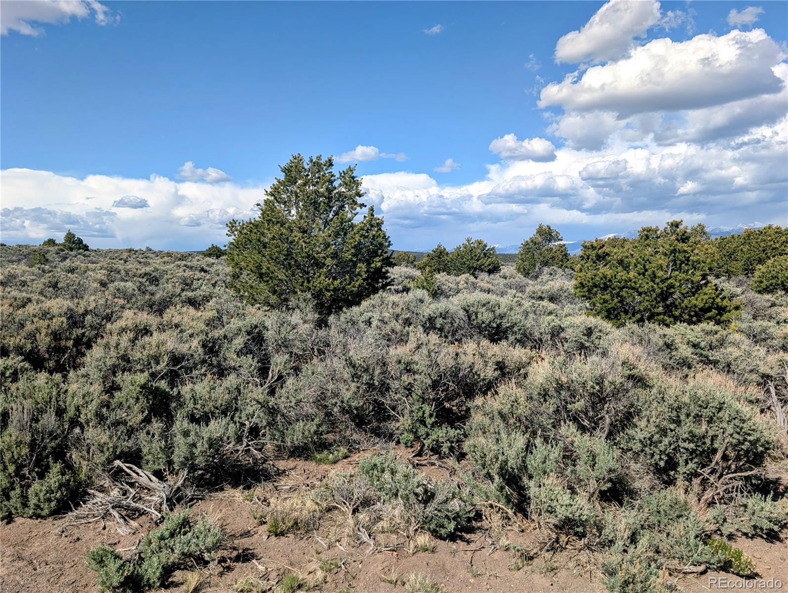 35-acres Elk Park Road San Luis, CO 81152 - Photo 14 of 34 a view of a bunch of trees