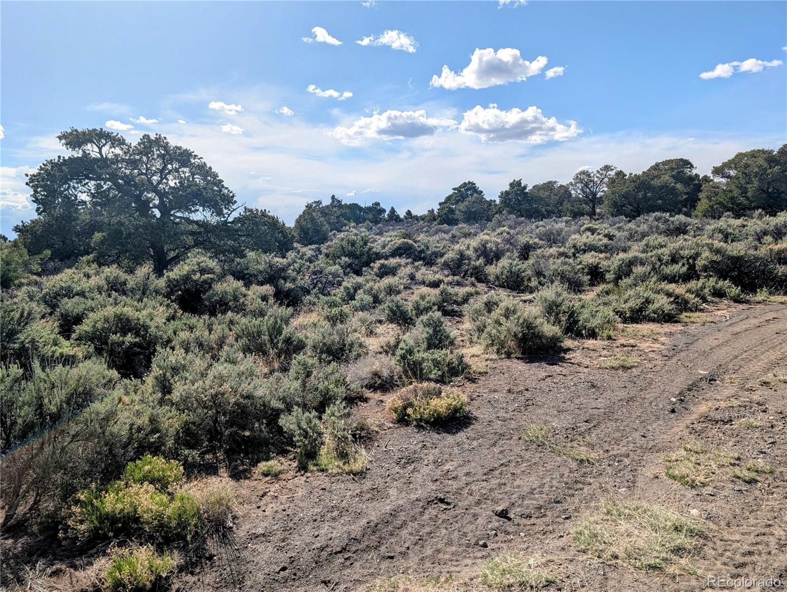 35-acres Elk Park Road San Luis, CO 81152 - Photo 15 of 34 a view of a covered with trees in the background