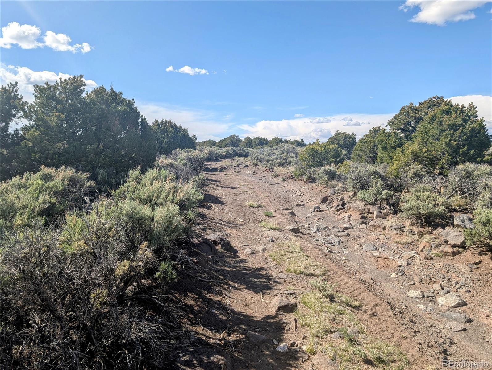 35-acres Elk Park Road San Luis, CO 81152 - Photo 18 of 34 a view of a dry yard with lots of bushes