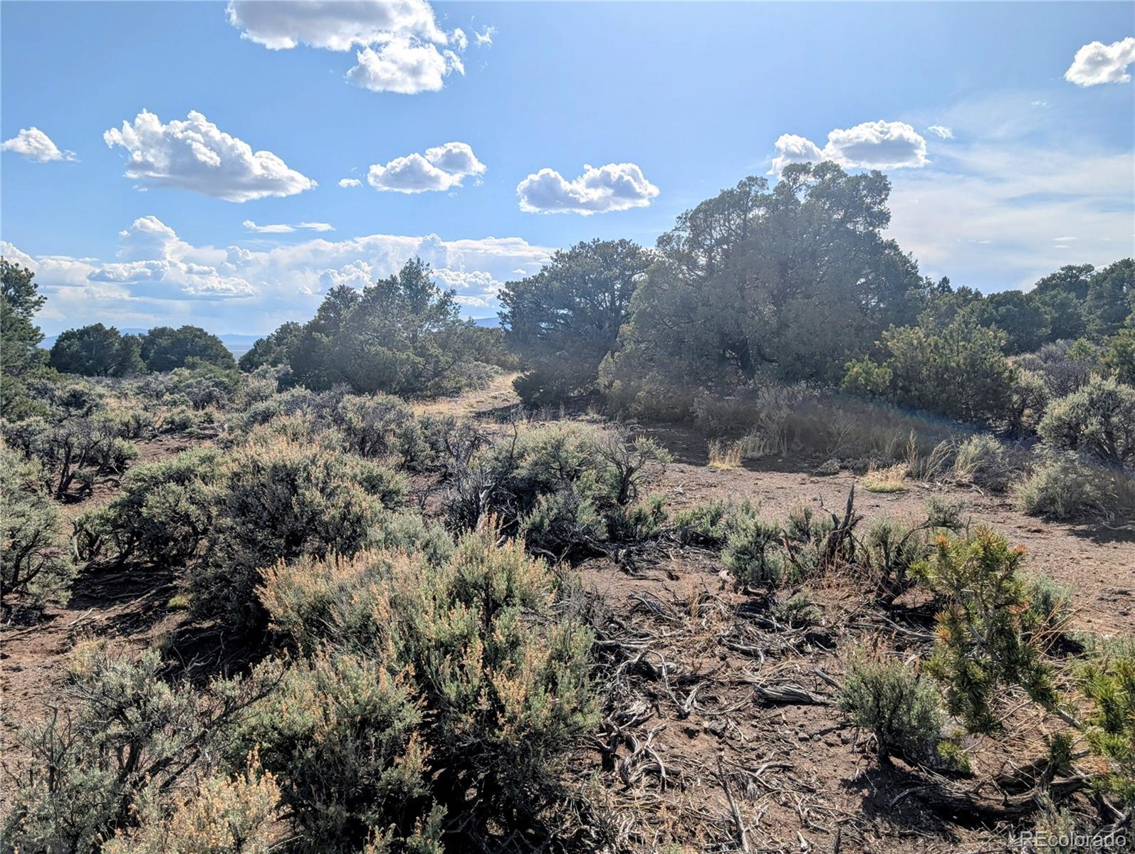 35-acres Elk Park Road San Luis, CO 81152 - Photo 23 of 34 a view of a city