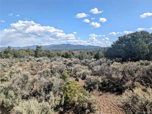 a close up of a tree