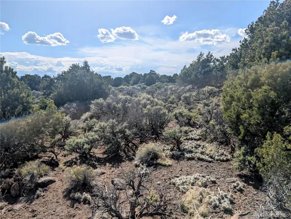 a view of a bunch of trees