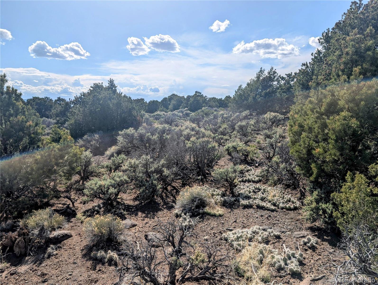 35-acres Elk Park Road San Luis, CO 81152 - Photo 28 of 34 a view of a sky