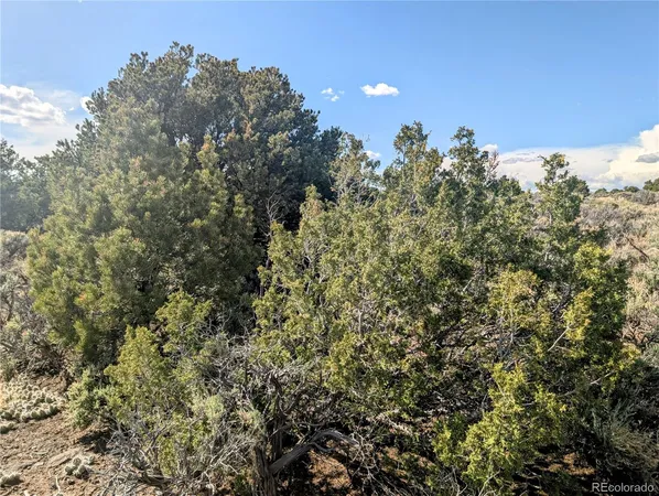 a view of a dry yard with mountain view