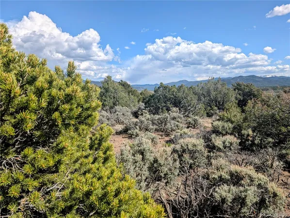 a view of a bunch of trees and sky view