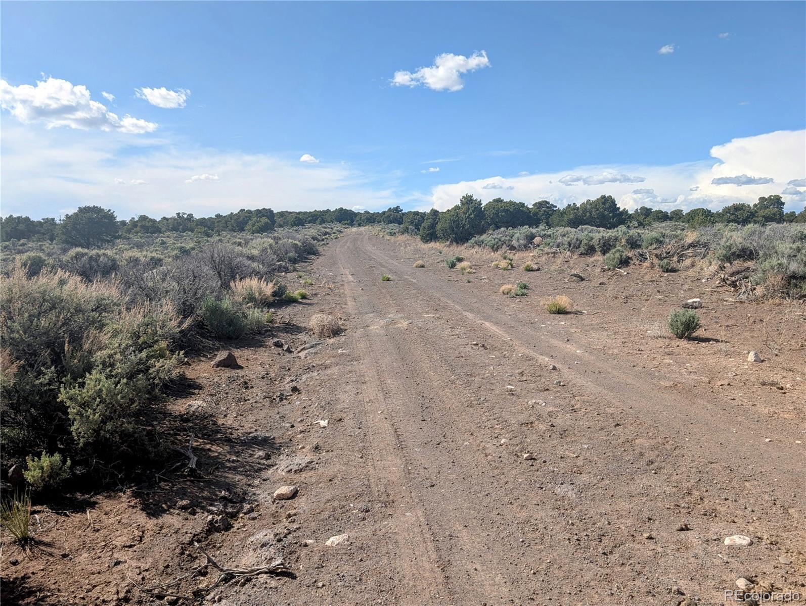 35-acres Elk Park Road San Luis, CO 81152 - Photo 32 of 34 a view of a dry yard with mountain view