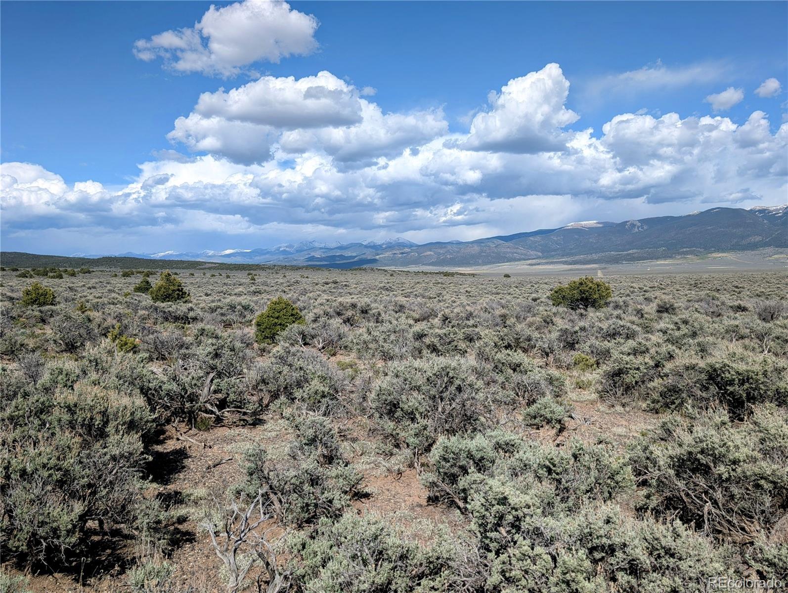 35-acres Elk Park Road San Luis, CO 81152 - Photo 4 of 34 a view of a yard with lots of trees