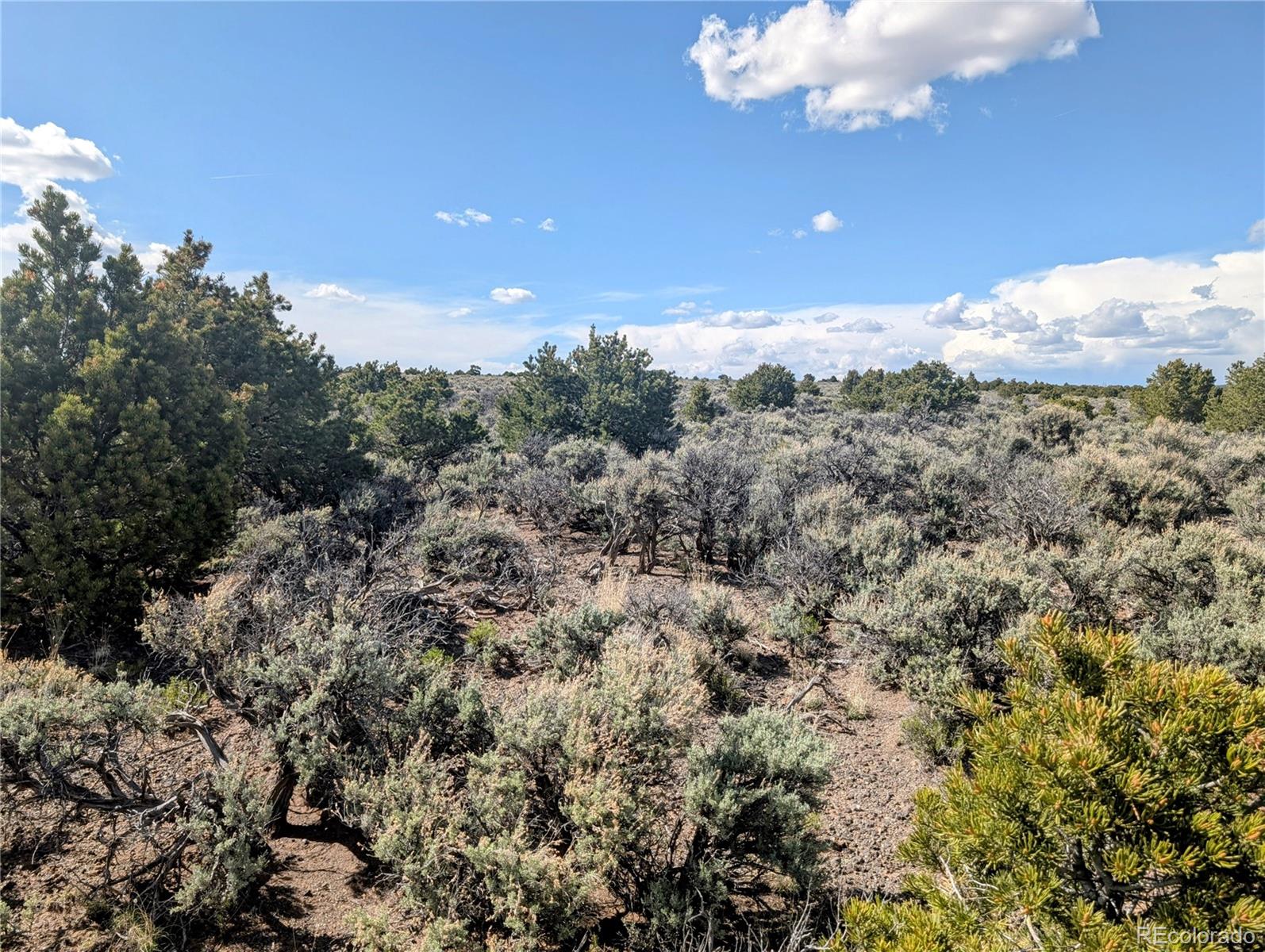 35-acres Elk Park Road San Luis, CO 81152 - Photo 9 of 34 a view of a city with lush green forest