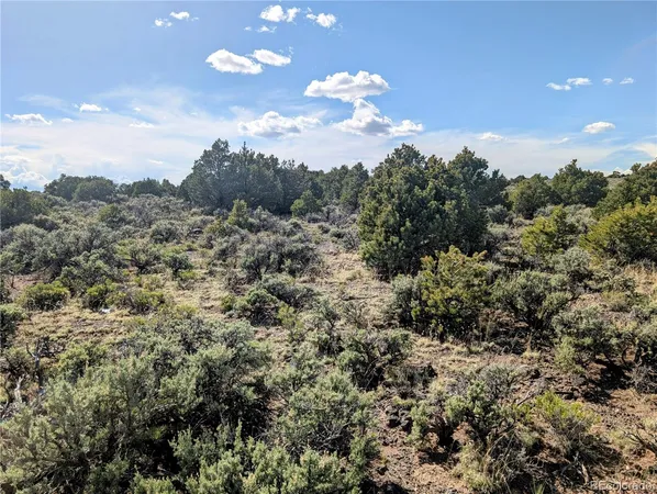 a view of a bunch of trees