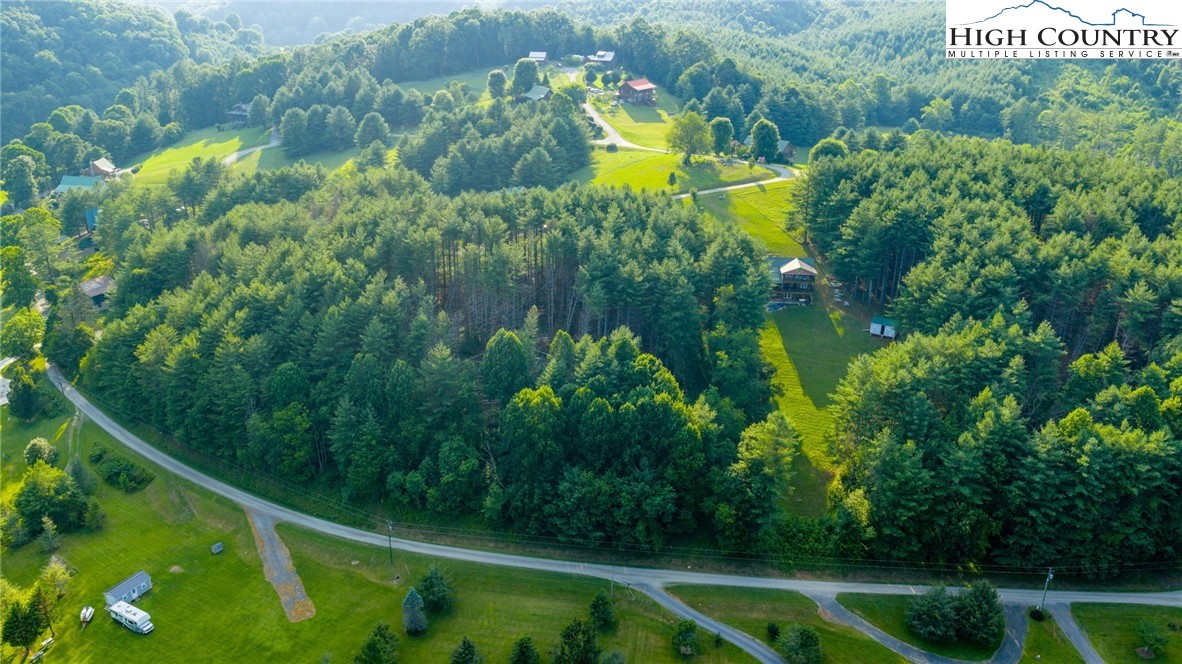 16 Bill Cooper Road Extension Crumpler, NC 28617 - Photo 17 of 21 a view of a garden