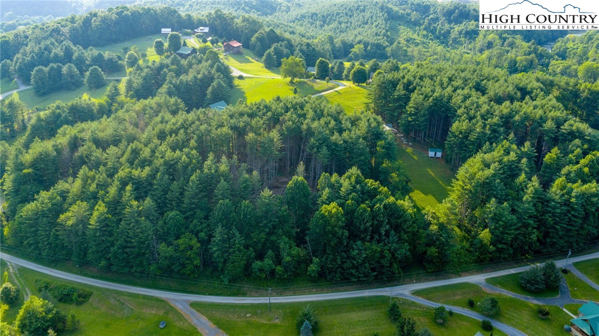 16 Bill Cooper Road Extension Crumpler, NC 28617 - Photo 18 of 21 a view of a swimming pool with a yard and plants