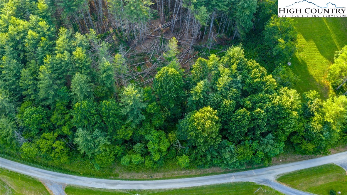 16 Bill Cooper Road Extension Crumpler, NC 28617 - Photo 19 of 21 a view of a yard with plants