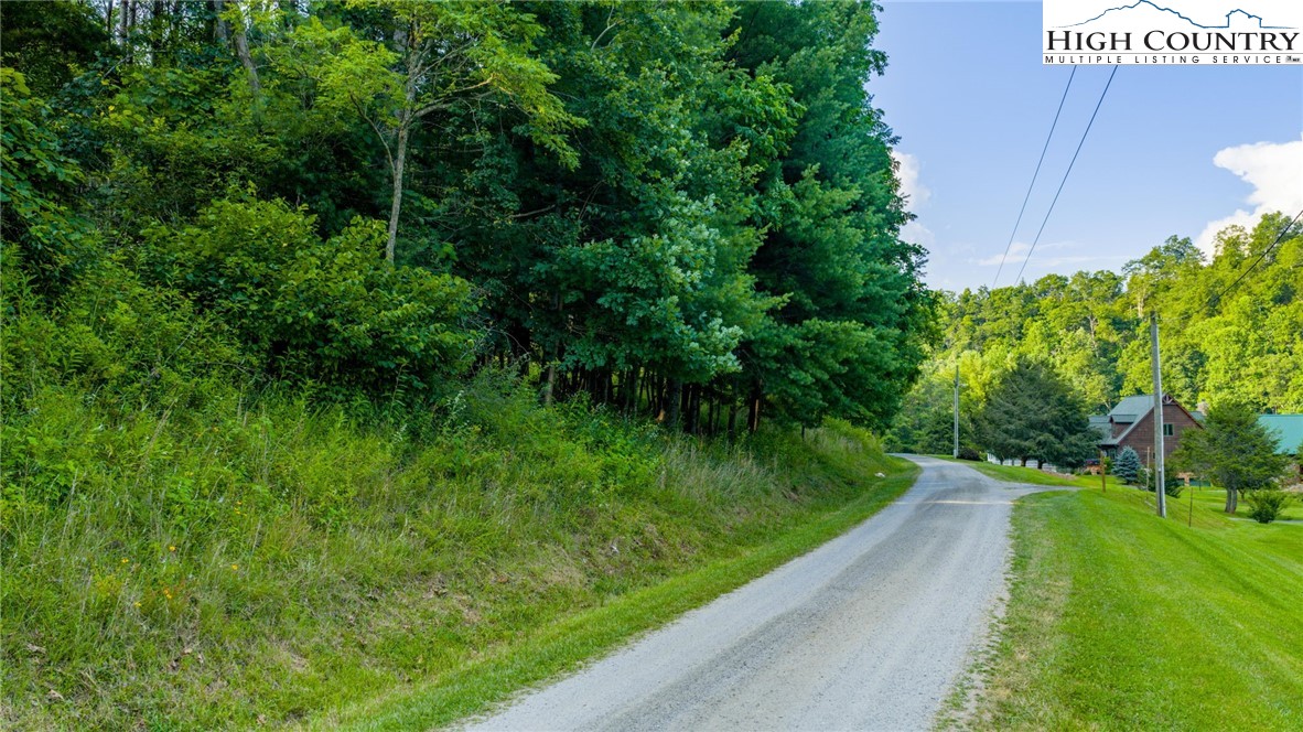 16 Bill Cooper Road Extension Crumpler, NC 28617 - Photo 2 of 21 a view of a yard with potted plants