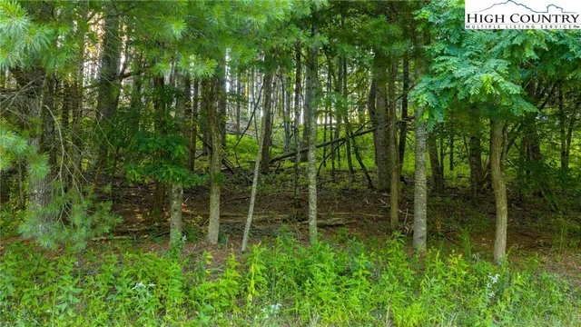 $65,000 | 16 Bill Cooper Road Extension, Crumpler, NC 28617