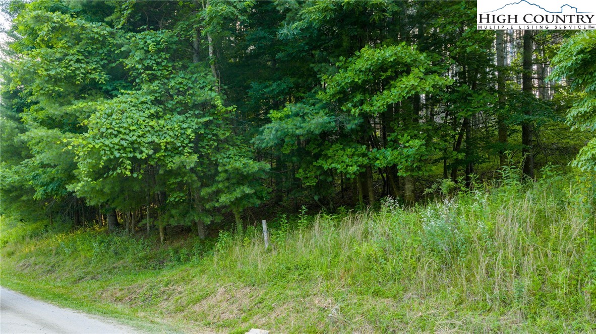 16 Bill Cooper Road Extension Crumpler, NC 28617 - Photo 3 of 21 a view of a lush green forest