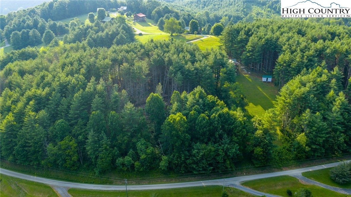 16 Bill Cooper Road Extension Crumpler, NC 28617 - Photo 4 of 21 a view of a swimming pool with a yard