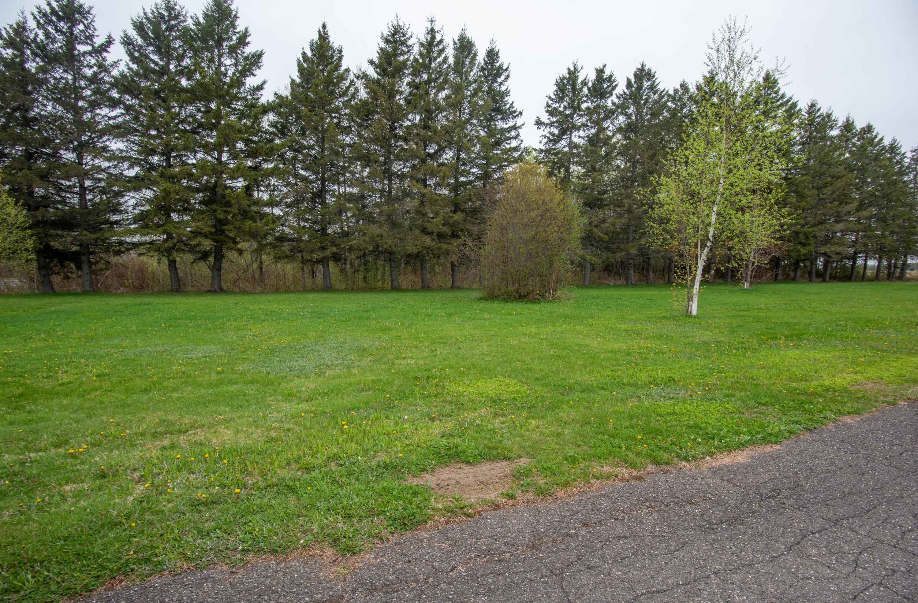 727 Beaulieu Road St. David, ME 04773 - Photo 17 of 39 Front Yard