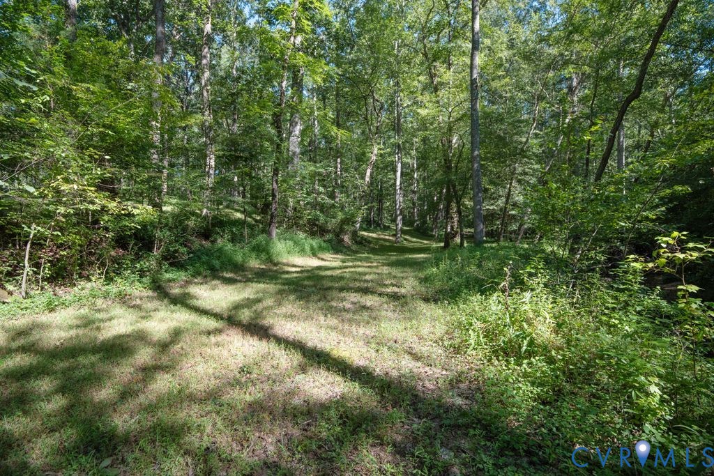 2900 Pleasantwood Road Powhatan, VA 23139 - Photo 54 of 76 Side yard by creek