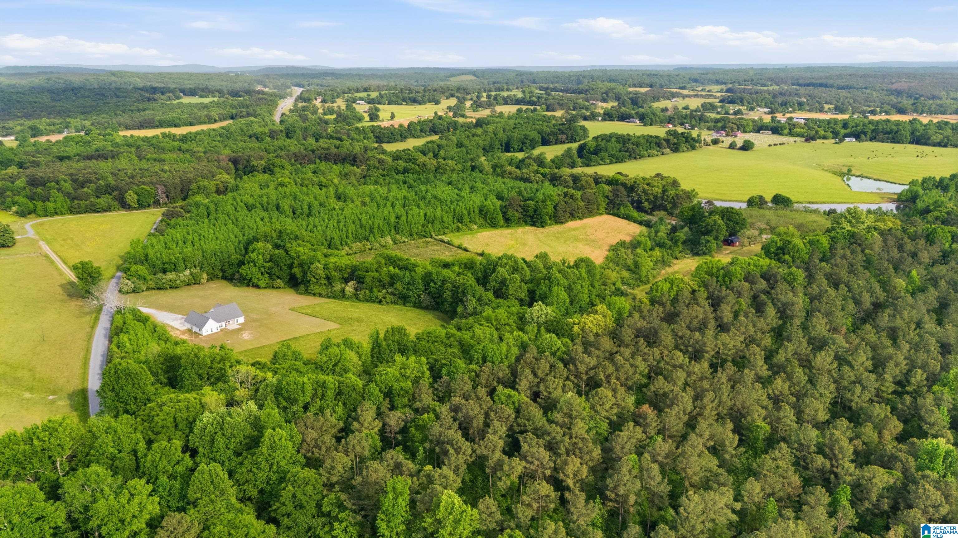 862 Hipp Road Blountsville, AL 35031 - Photo 46 of 50