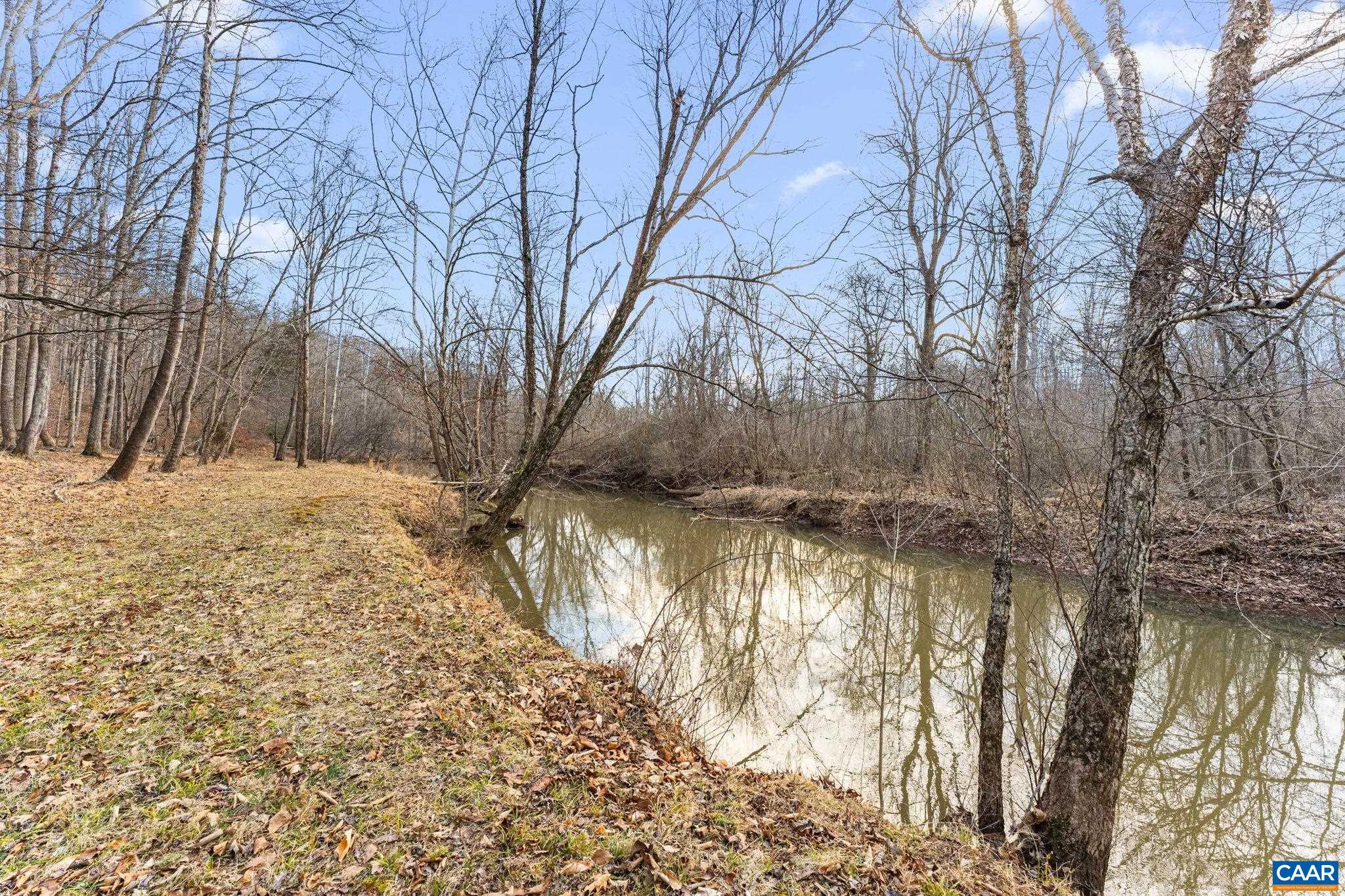 669 James River Road Scottsville, VA 24590 - Photo 5 of 61