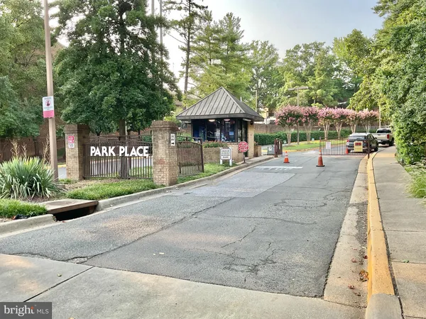 a view of a park with plants and trees