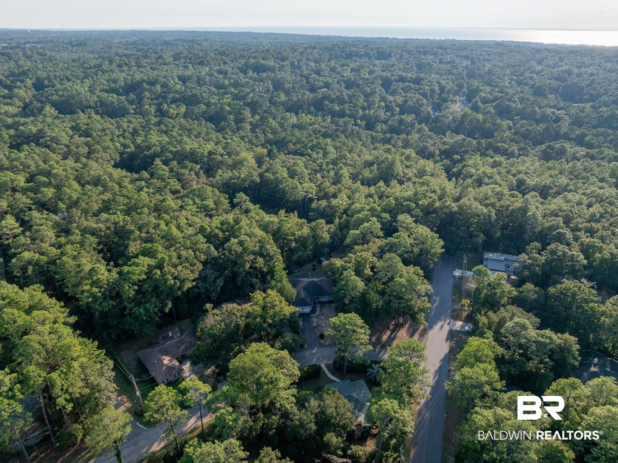 101 Cameron Circle Daphne, AL 36526 - Photo 38 of 39 Birds eye view of property