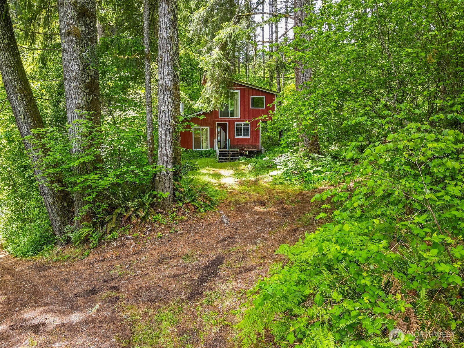 0 Carr Road Randle, WA 98377 - Photo 3 of 20