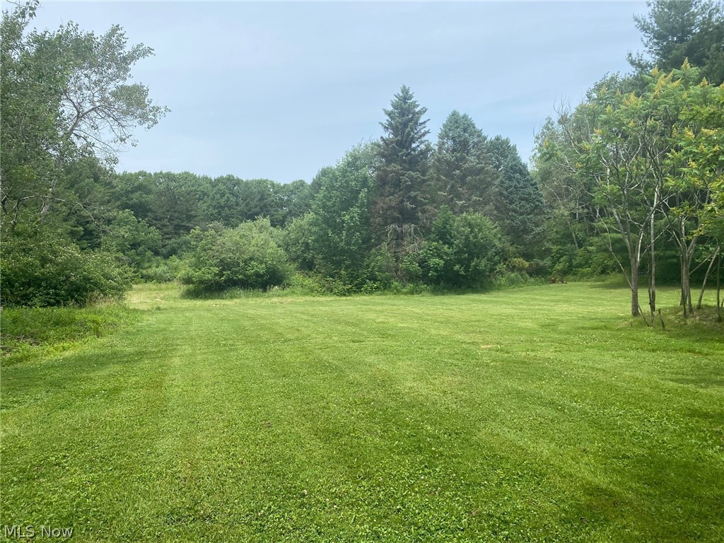 12228 Bean Road Chardon, OH 44024 - Photo 28 of 29