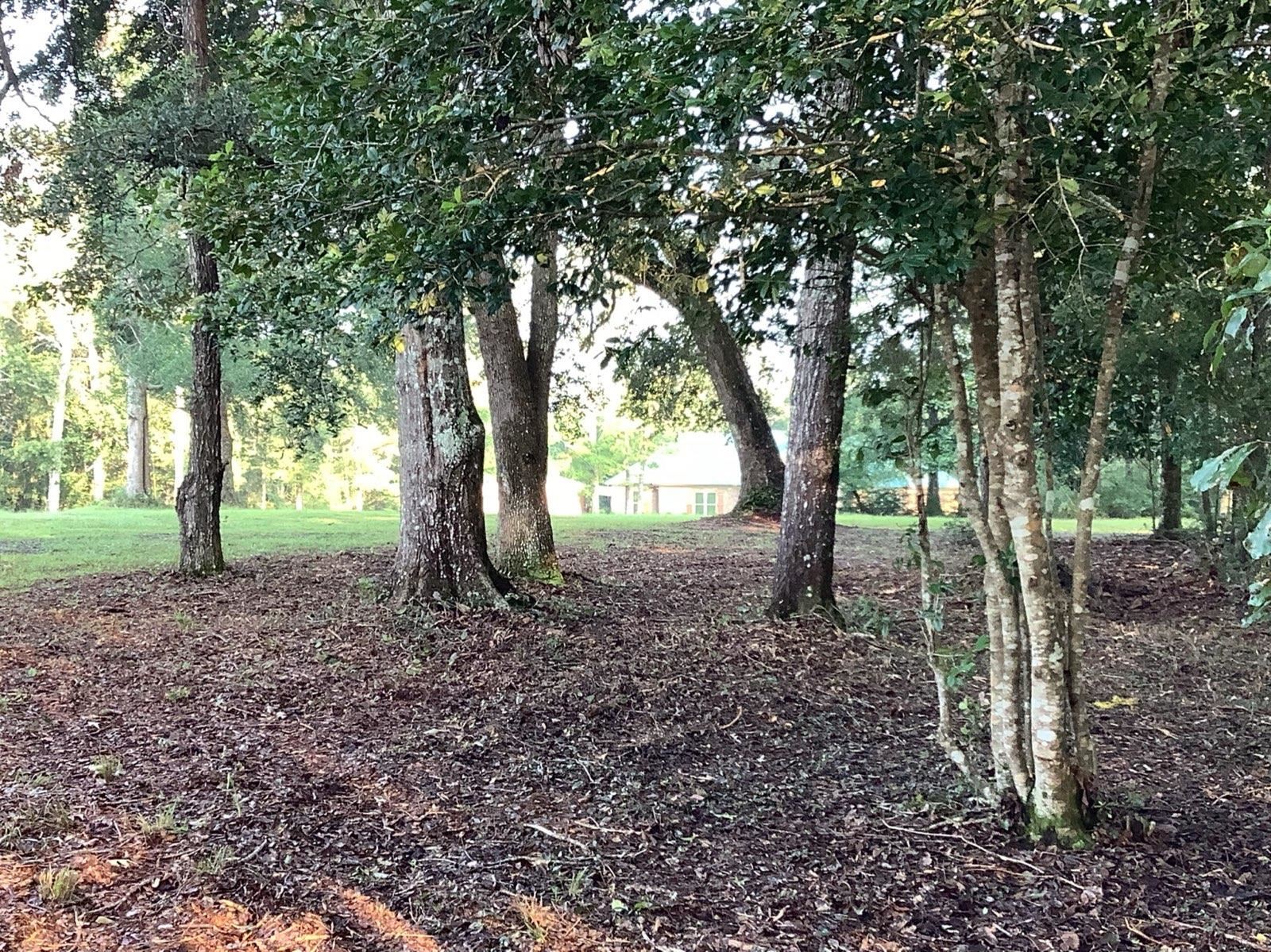 37924 Magnolia Church Road Bay Minette, AL 36507 - Photo 12 of 15