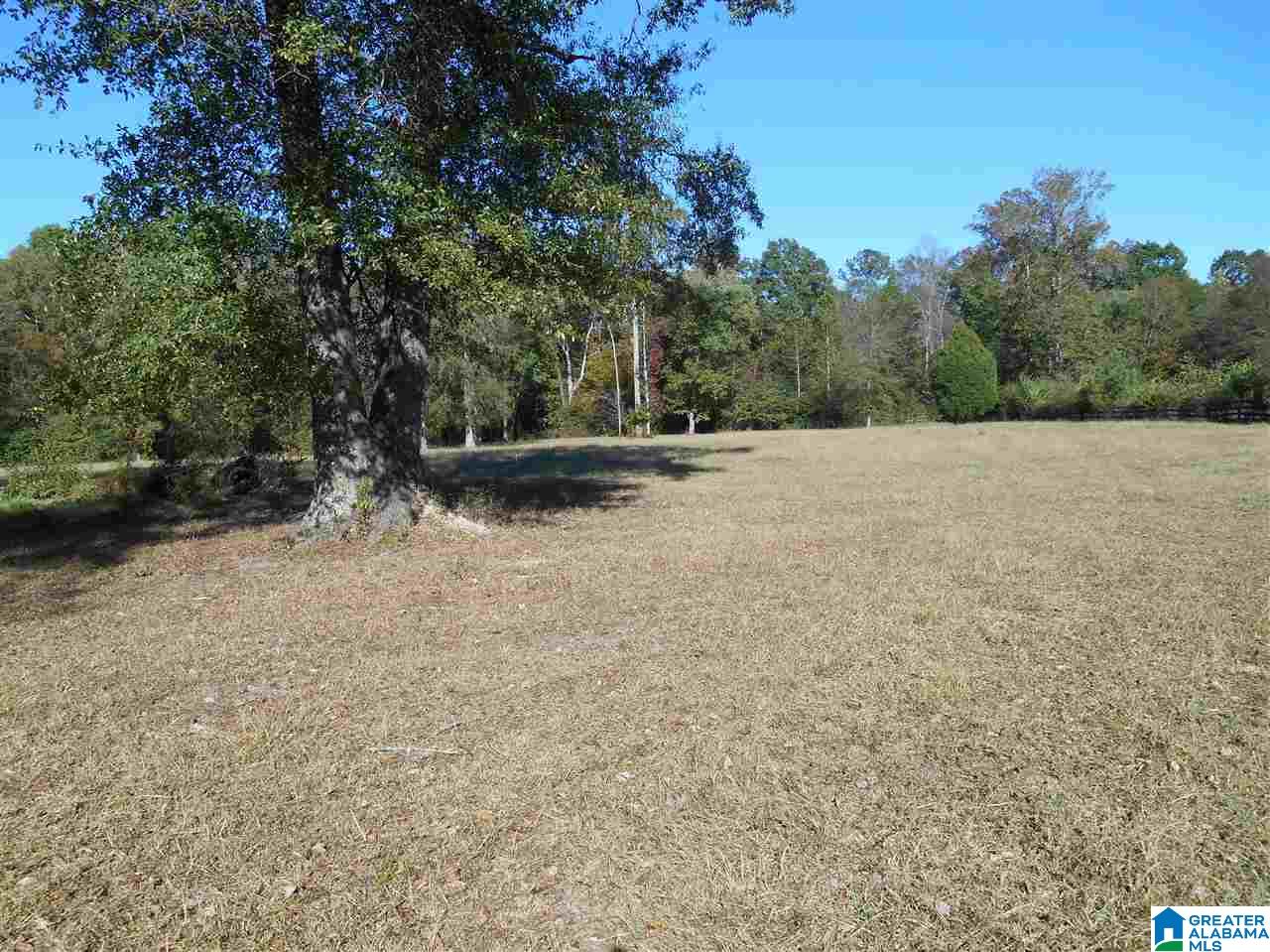 6429 County Road 39 Chelsea, AL 35043 - Photo 3 of 5