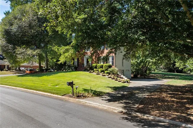 a view of a street with a large trees