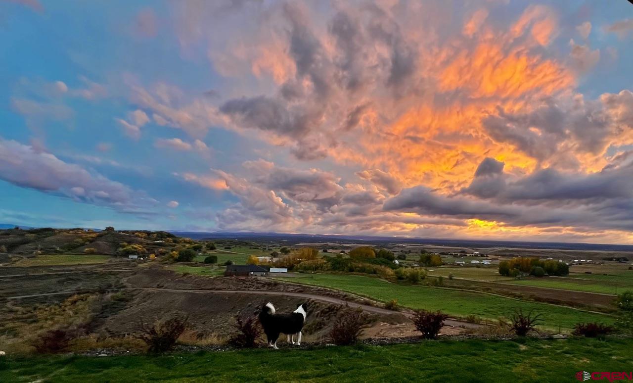 11266 5880 Road Montrose, CO 81403 - Photo 37 of 43